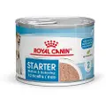 Royal Canin Starter Mother & Babydog Ultra Soft Mousse - 24 x 195 g Mother & Babydog