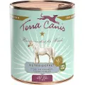 Terra canis kornfritt 6 x 800 g - Hest, potet, gresskar og kålrabi