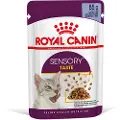 Royal Canin Sensory Taste i gelé - Økonomipakke: 48 x 85 g