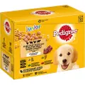Pedigree Junior mix of flavors in jelly 12x100g