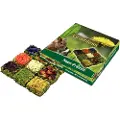 Jr Farm Grainless gnager-praliner - 125 g