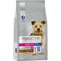 Perfect Fit Adult Hund (