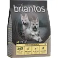 Briantos Junior Kylling & potet - KORNFRITT - 1 kg