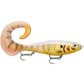 Rapala X-rap Otus Swimbait 40g 170 Mm