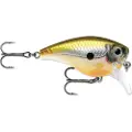 Rapala BX Mid Brat 6 cm Haymaker (HAY)