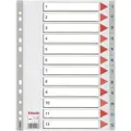 Esselte Register Esselte PP A4 1-12 grå