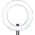 Falcon Eyes DVR-384DVC, 23 W, 384 ampuller, LED, Variabel, 0,06 W, 1250 lx
