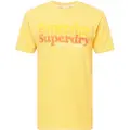 Superdry Vintage Cali Stripe T-skjorte