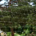 Zooplus Exclusive Sikkerhetsnett for katter - gjennomsiktig - 4 x 3 m