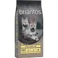 Briantos Junior Kylling & potet - KORNFRITT - 12 kg