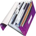 Leitz WOW - Dokumentmappe - kan utvides - 6 rom - 6 deler - for A4 (210 x 297 mm) - med fliker - metallisk purpur