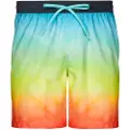 Quiksilver Faded Logo 17 Badebukse