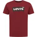 Levi's Graphic Kortarmet T-skjorte