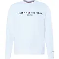 Tommy Hilfiger for man. MW0MW11596 V-neck jumper with white embroidered logo (XL), Casual, Cotton