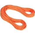 Mammut Alpine Dry 9.5 Mm Tau