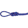 Mammut Alpine Sender Dry 7.5 Mm Tau