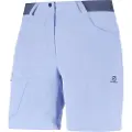 Salomon Wayfarer Shorts