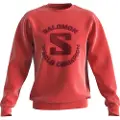 Salomon Outlife Collegegenser