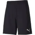 Puma Teamfinal 21 Shorts