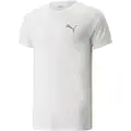 Puma Evostripe Kortarmet T-skjorte