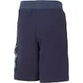 Puma Alpha Cargos Shorts