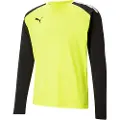 Puma Teampacer Langarmet T-skjorte