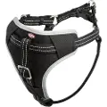 Trixie Dog Protect sikkerhedssele, M: 50–65 cm/20 mm, sort