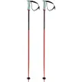 Völkl Phantastick 16 Mm Spaserstokker