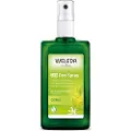 Weleda Citrus Deodorant 100ml