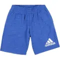 Adidas Bos Shorts