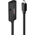 Lindy 3.2 Usb-c-kabel 5 M