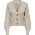 ONLY Carol Nice Cardigan