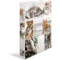 Herma -