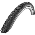 Schwalbe Winter Standard spike tire 700c 35 mm (35-622)