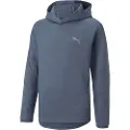 Puma Evostripe Collegegenser