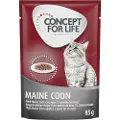 Concept for Life Maine Coon Adult (Ragout-kvalitet) - 12 x 85 g