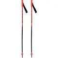 Rossignol Hero Gs Junior Staver
