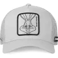 Capslab Loo4 Bug1 Cap