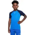 Nike Dri-fit Academy Pro Dh9277 Kortarmet T-skjorte