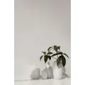 Blomus BlomusVase Ceola 25 cmHvitKrukker & vaserFra Homeroom