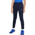 Nike Dri Fit Academy Knit Bukser