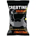 Nutrisport Cellular Kreatinpulver Sitrus 500g