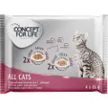 Concept for Life prøvepakke - 4 x 85 g - All Cats