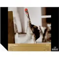 Royal Talens Oil colour paper | 30 x 40 cm, 300 g, 10 sheets