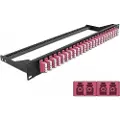 DeLOCK - Koblingspanel - rackmonterbar - LC Quad MM x 24 - svart, fiolett - 1U - 19