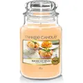 Yankee candle Mango Ice Cream 623g Lys
