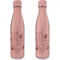 Pyramid Disney Princess Metal 550ml Flaske