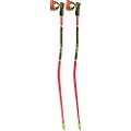 LEKI Wcr Gs 3d Spaserstokker