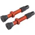 VAR 2 Alloy Presta Ventiler