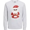 Jack & Jones Jortoon Collegegenser
